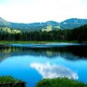 Meet your Posher, Luis